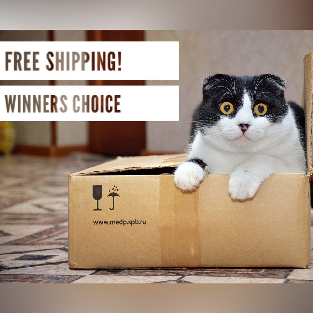 Doorbuster Giveaway Free Shipping! Plus a choice of a great gift! - Picture 1 of 1